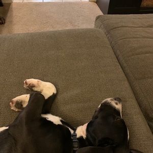 Reasonable offers usually accepted ❤️❤️❤️❤️❤️❤️❤️